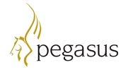 Pegasus Ireland